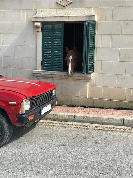 Just not hectic, but completely relaxed: a picture that is typical for Gozo